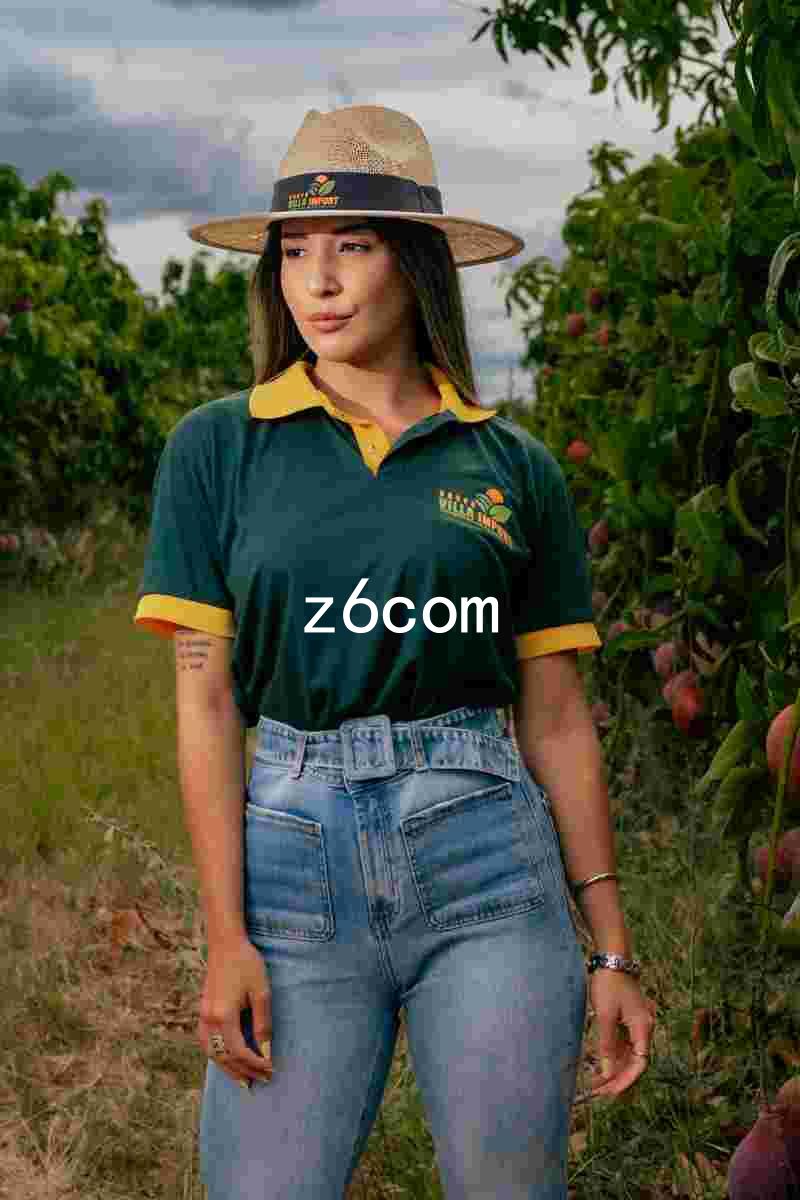 z6com