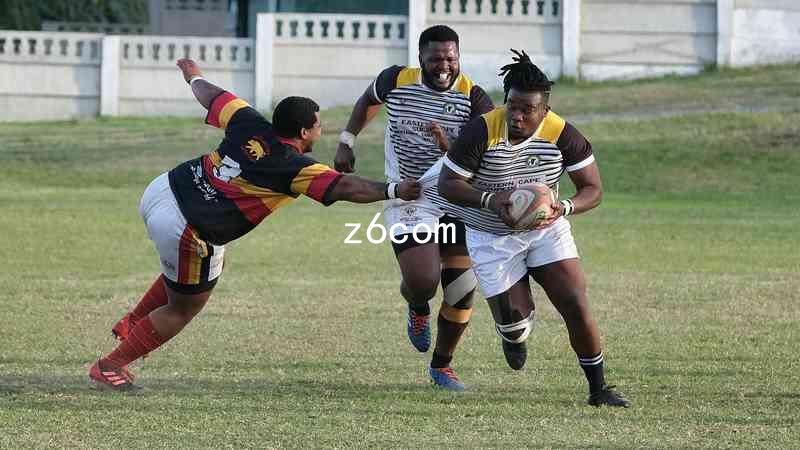 z6com